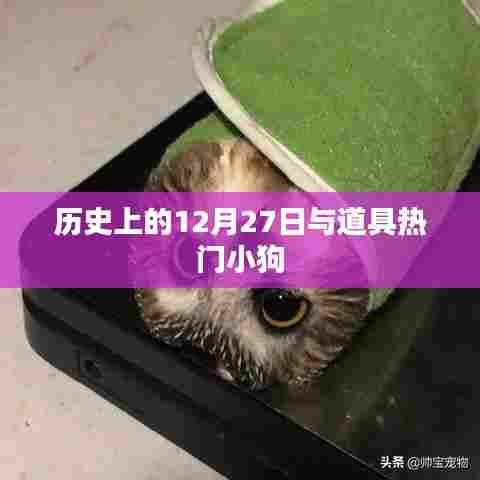 业务领域 第214页