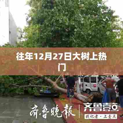 往年12月27日大树成焦点事件回顾