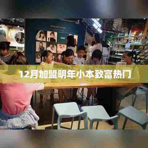 12月加盟,小本致富热门项目