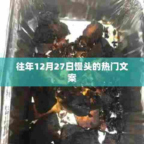 年终馒头盛宴，12月27日热门文案回顾