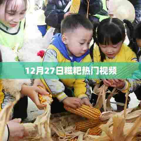 12月27日糍粑视频大热