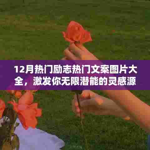 12月励志文案图片大全，激发无限潜能的灵感库