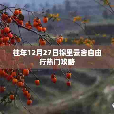 锦里云舍自由行,年末热门攻略揭秘