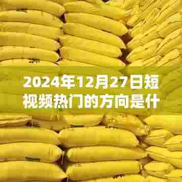 关于短视频热门方向预测,未来趋势与热点分析