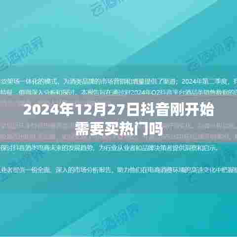 抖音热门推广策略，从起步到成熟之路