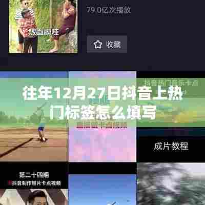 抖音热门标签填写策略,往年12月27日攻略分享