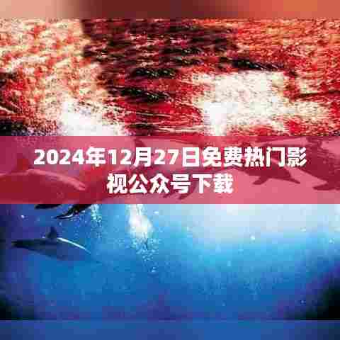 2024年影视公众号免费下载指南，最新热门影视资讯一网打尽