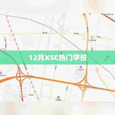 揭秘十二月热门学校榜单,XSC学校上榜!