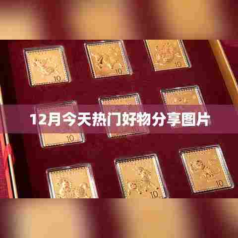 12月热门好物分享图片大放送