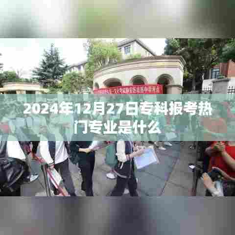 专科报考热门专业趋势解析，2024年热门专业预测