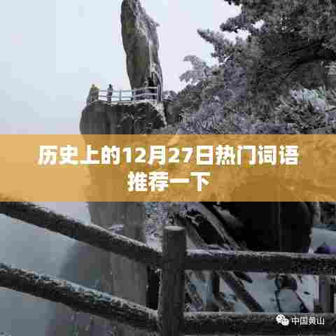 法律知识 第216页