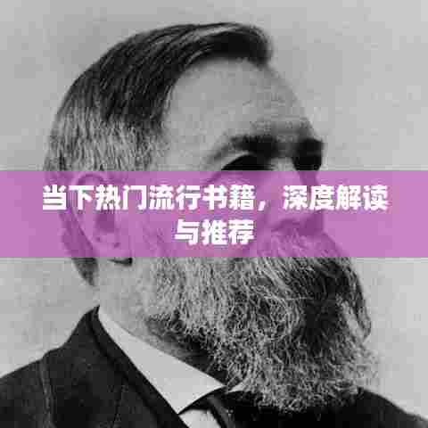 热门书籍深度解读与推荐