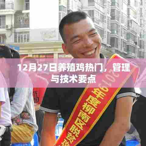 12月鸡养殖热门，管理与技术要点解析