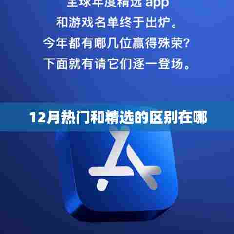 12月热门与精选差异解析