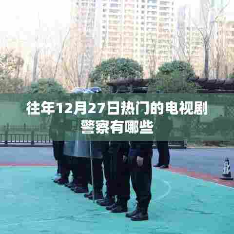 往年12月27日热门电视剧中的警察角色盘点