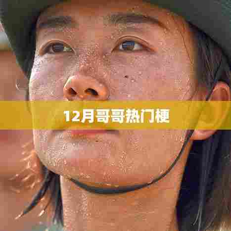 哥哥热梗大盘点,12月流行语回顾