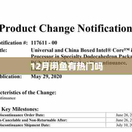 闲鱼十二月热门商品推荐