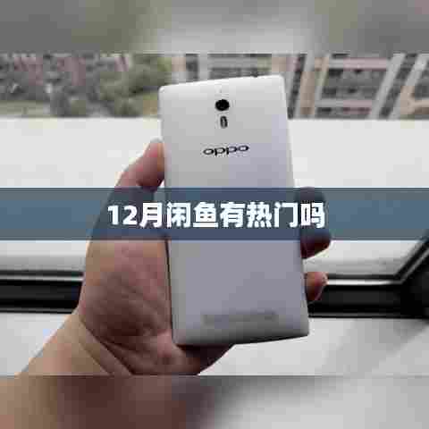 闲鱼十二月热门商品推荐