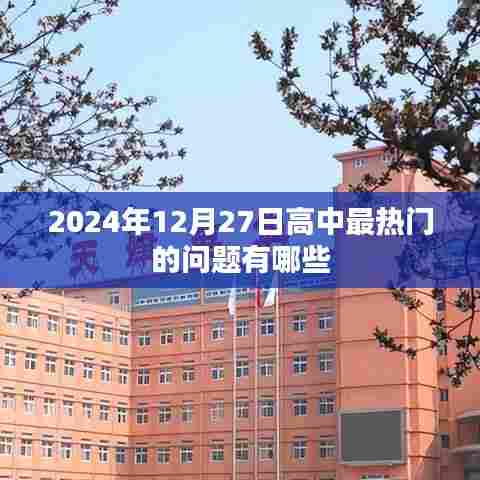 2024年高中热门问题大盘点