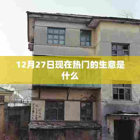 12月27日热门生意趋势,揭秘当下热门商机