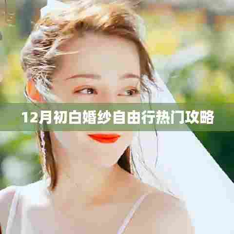 12月白纱飘飘自由行攻略，打造梦幻婚礼之旅