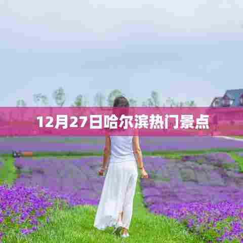 哈尔滨热门景点一览(12月27日)