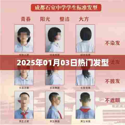 『2025年元旦流行发型风向标』