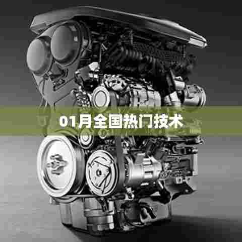 加入我们 第193页