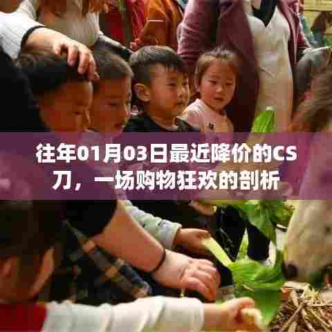 CS刀购物狂欢揭秘,降价背后的故事