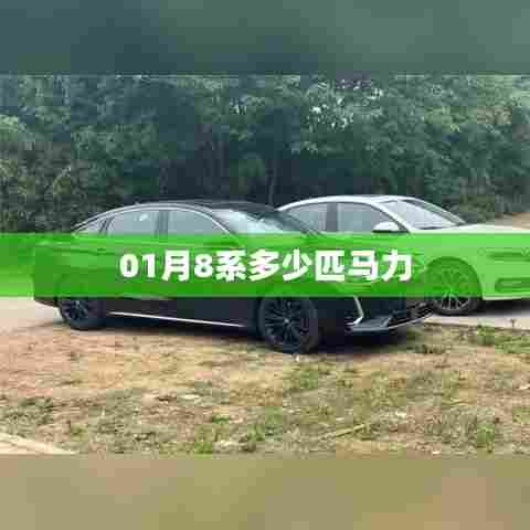 根据您的需求，以下是一个符合要求的标题，，揭秘，一月份汽车市场热门车型八系车型马力表现