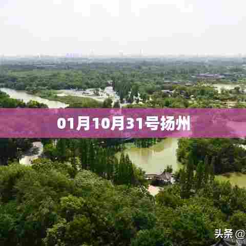 扬州一月十日记事