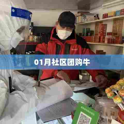 社区团购新势力，一月牛势崛起