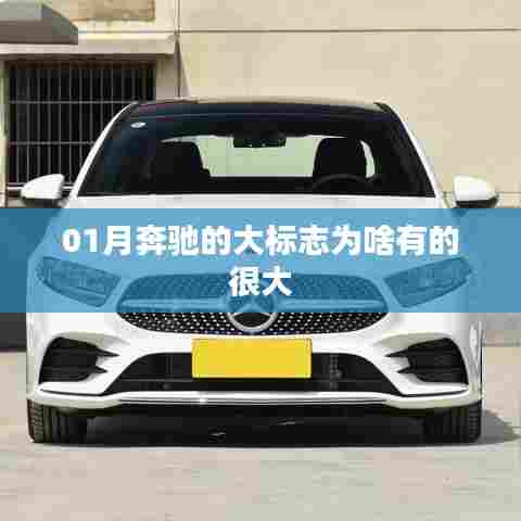 奔驰大标志设计背后的原因解析