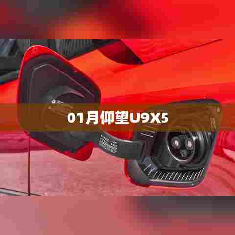 仰望U9X5,一月份科技新品亮相