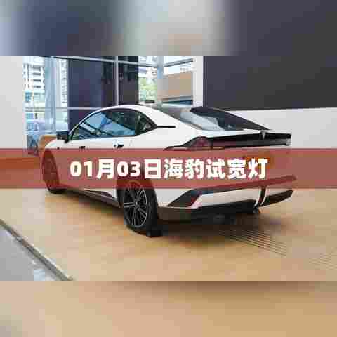 海豹试宽灯,最新动态揭秘