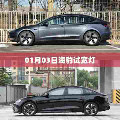 海豹试宽灯,最新动态揭秘