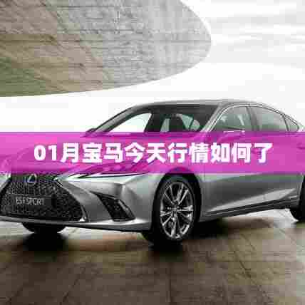 最新宝马行情概览，01月市场动态解析