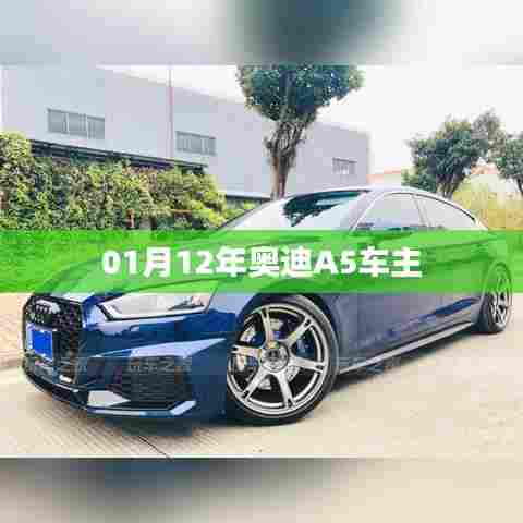 奥迪A5车主指南,车辆使用、保养与注意事项