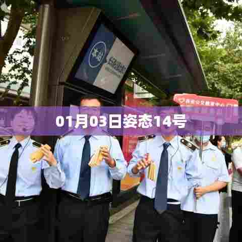 姿态十四号，新年新姿态，开启新征程