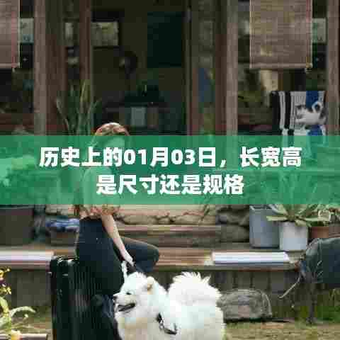 历史上的大事件,尺寸与规格之争在01月03日揭晓