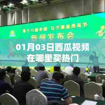 西瓜视频购买热门攻略,01月03日操作指南