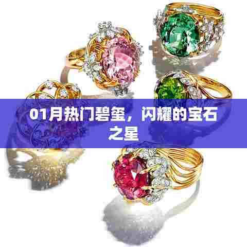 碧玺风采闪耀宝石圈，一月热门之选