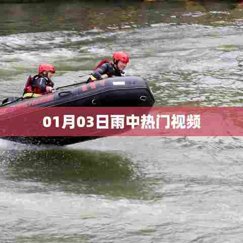 雨中热门视频盘点，精选01月03日精彩瞬间