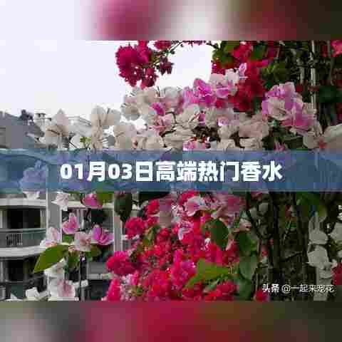 高端热门香水,精选推荐,尽在01月03日