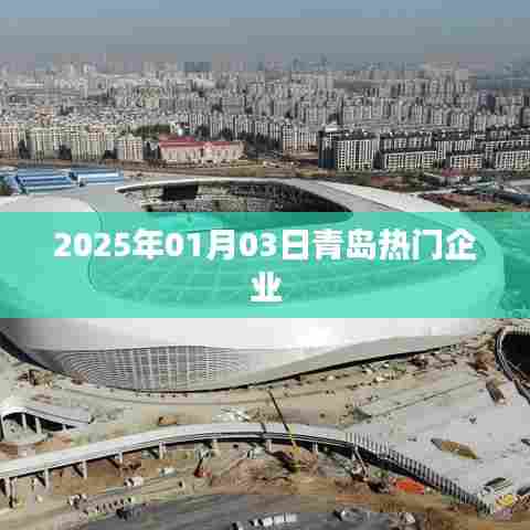 青岛热门企业动态速递，聚焦2025年1月3日