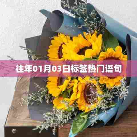 『历年一月初三热门标签语句盘点』