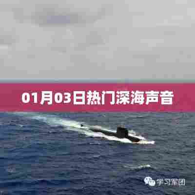 深海声音揭秘，最新热门声音探秘