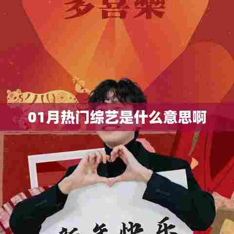 01月热门综艺解析，热门节目一网打尽！