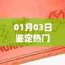 热门衣物鉴定指南，时尚潮流风向标