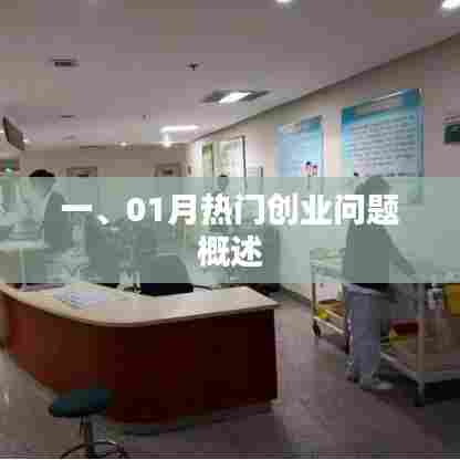 01月热门创业问题概览
